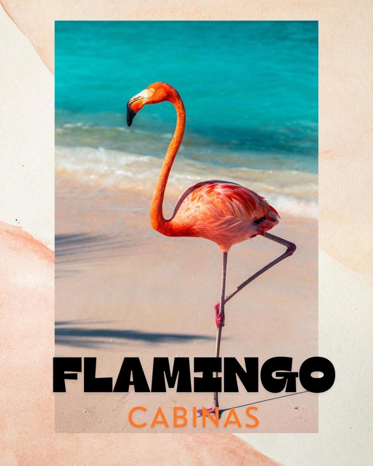 Cabinas Flamingo Плайя-Фламинго Экстерьер фото